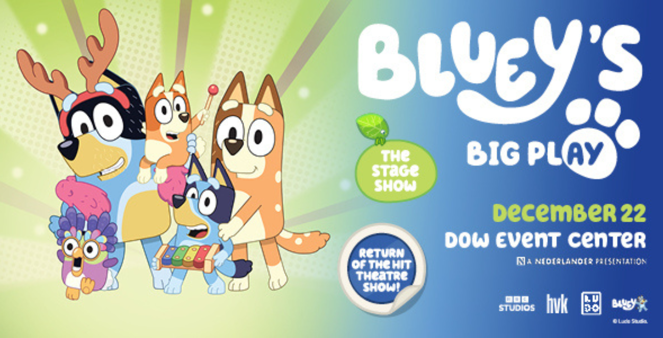 More Info for Bluey's Big Play