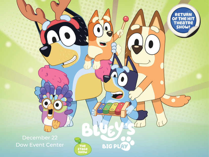More Info for Bluey's Big Play