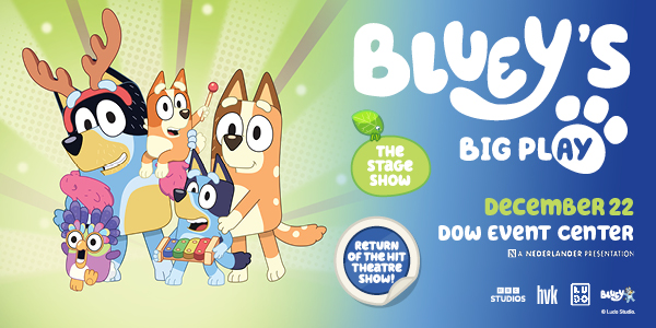 Bluey's Big Play